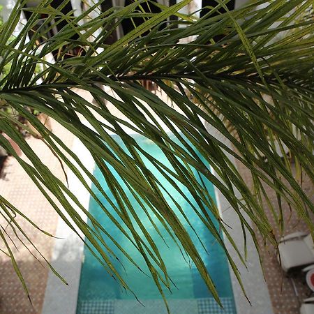 Riad Assouel Μαρακές Εξωτερικό φωτογραφία